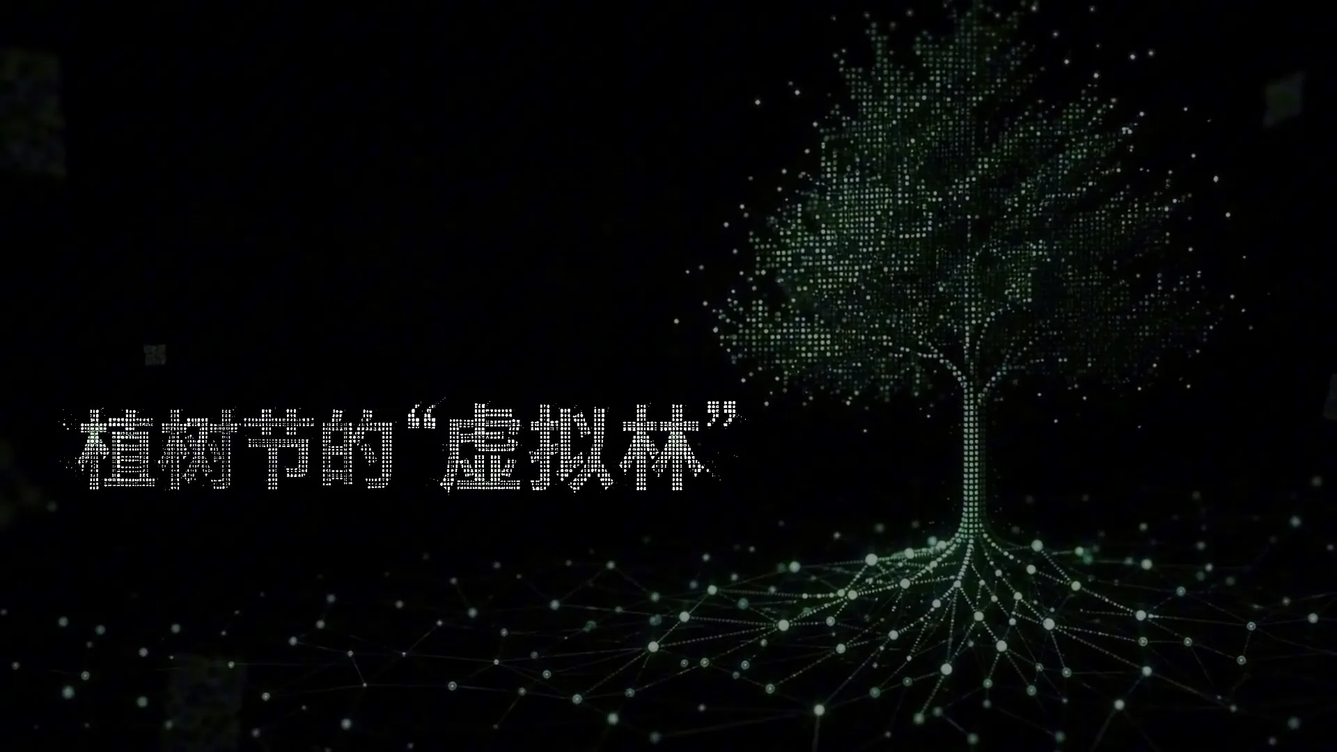 虚拟林视频封面