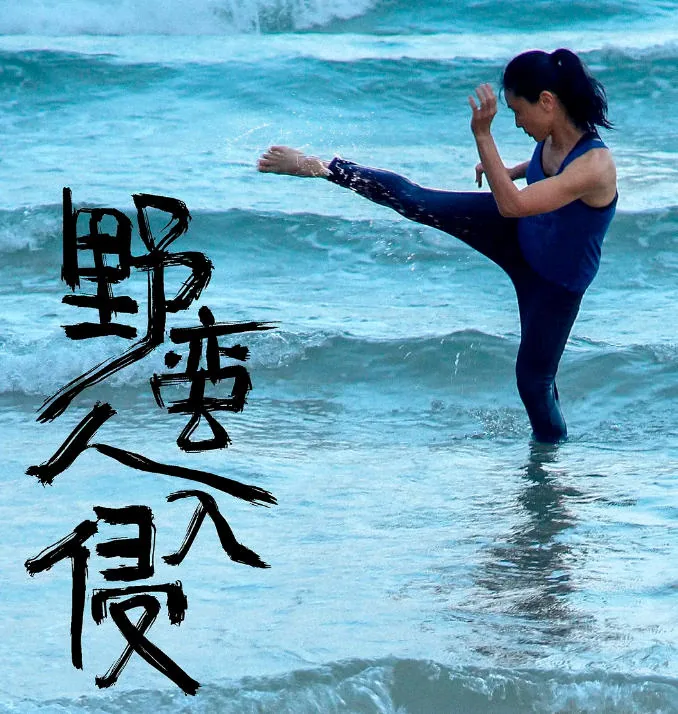 《野蛮人入侵》影评视觉图