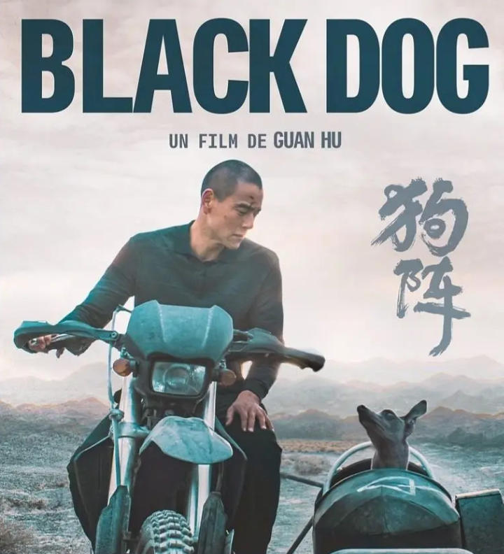 《狗阵》影评视觉图
