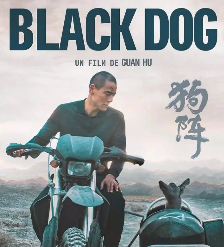 《狗阵》影评视觉图